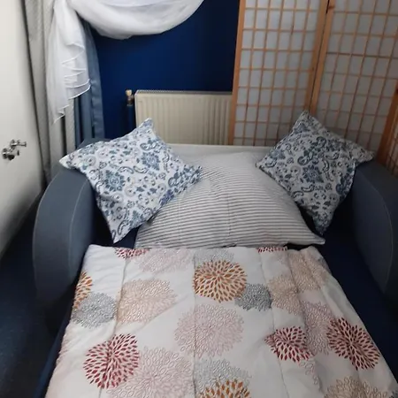 公寓 Apartament Wislanski Mis Wraz Nartami I Pobliskim Wyciagami