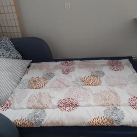 Apartament Wislanski Mis Wraz Nartami I Pobliskim Wyciagami * 维斯拉
