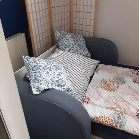 Apartament Wislanski Mis Wraz Nartami I Pobliskim Wyciagami 公寓 维斯拉