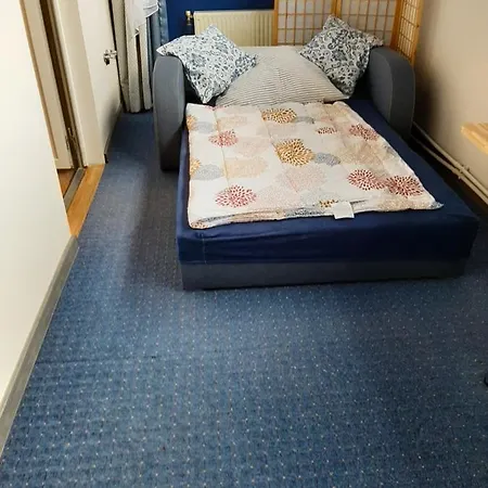 Apartament Wislanski Mis Wraz Nartami I Pobliskim Wyciagami 公寓 *