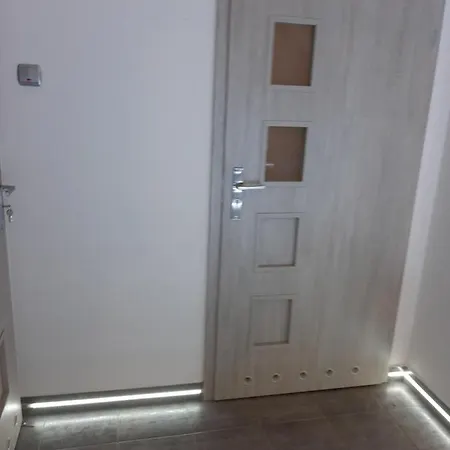 公寓 Apartament Wislanski Mis Wraz Nartami I Pobliskim Wyciagami *