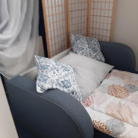 公寓 Apartament Wislanski Mis Wraz Nartami I Pobliskim Wyciagami
